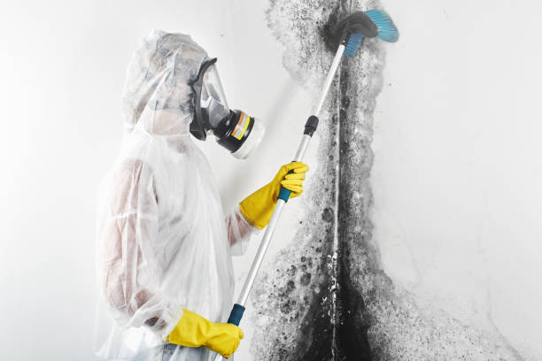 Best Dehumidification Services  in Caldwell, TX