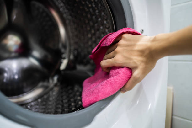 Professional Mold Removal in Caldwell, TX
