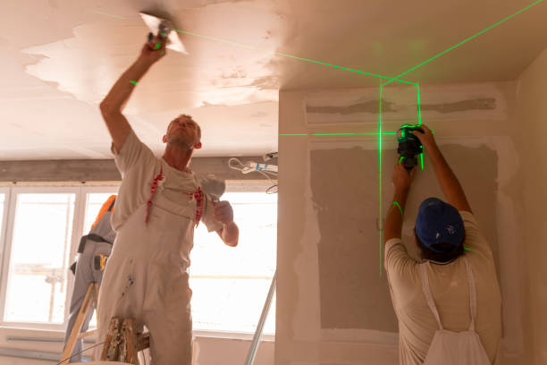 Best Black Mold Removal  in Caldwell, TX